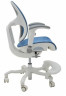 Кресло EXPERT ORTO (спинка DUO, слайдер, подлокотник 3D) каркас светлый, сетка синий